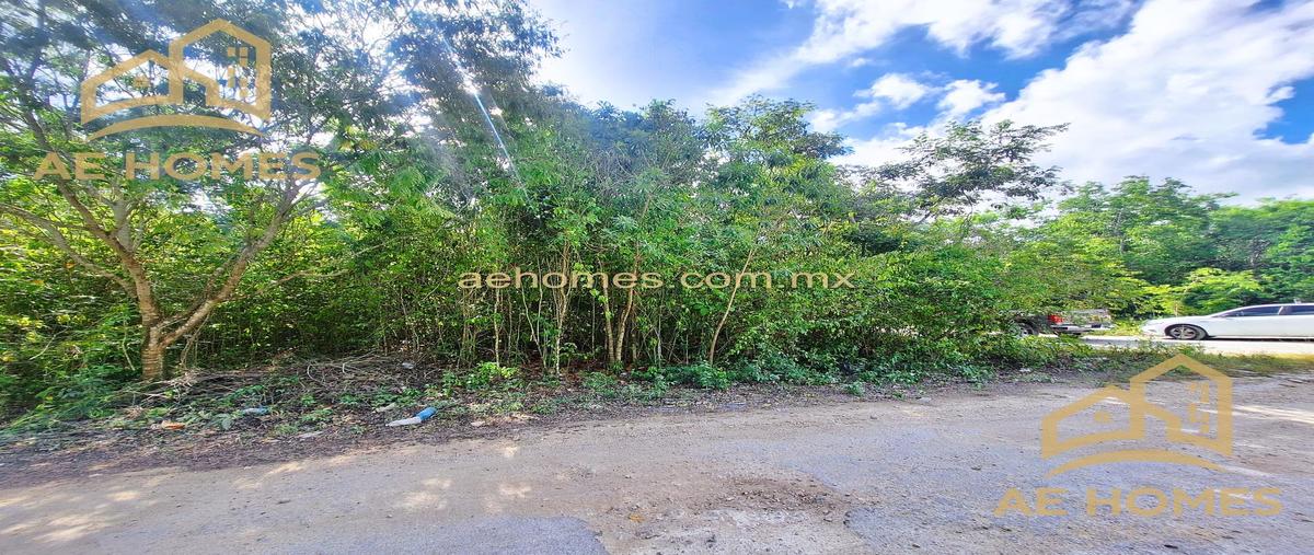 Foto de terreno habitacional en venta en  , cancún (internacional de cancún), benito juárez, quintana roo, 30371294 No. 03