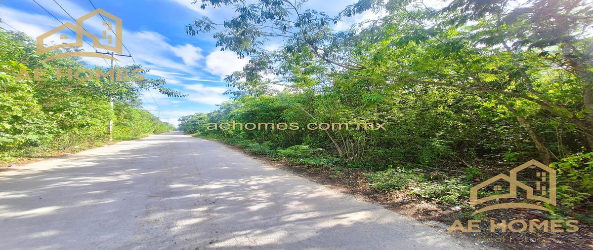 Foto de terreno habitacional en venta en  , cancún (internacional de cancún), benito juárez, quintana roo, 30371294 No. 04