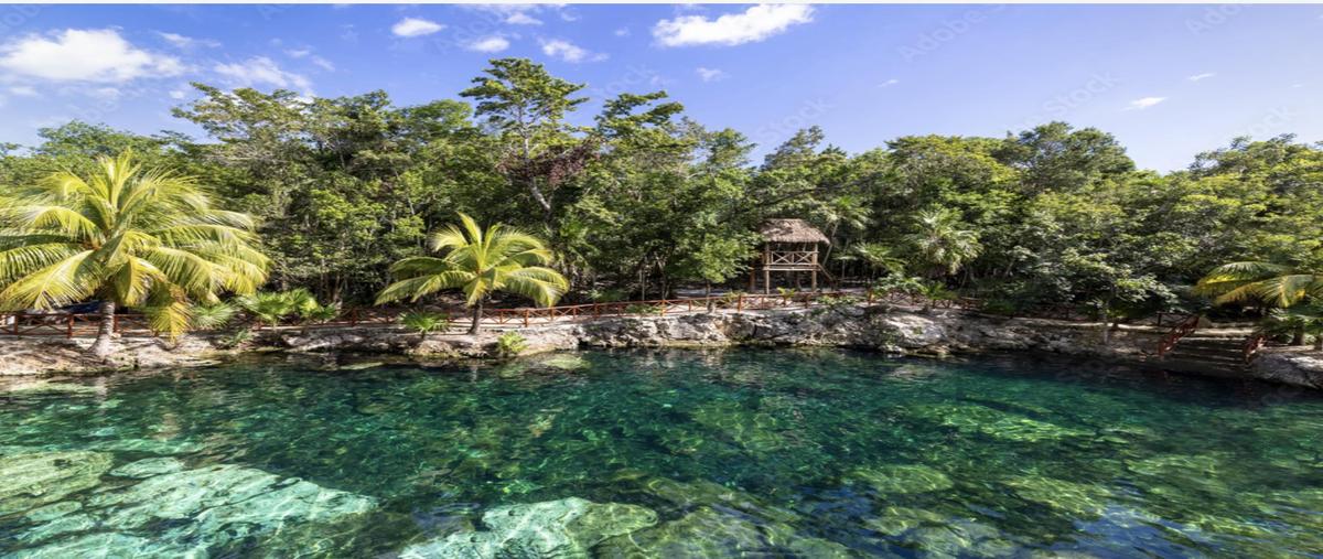 Foto de terreno habitacional en , cancún (internacional de cancún), benito juárez, quintana roo, 0 foto 01 Foto de terreno habitacional en venta en , cancún (internacional de cancún), benito juárez, quintana roo, 0 No. 01