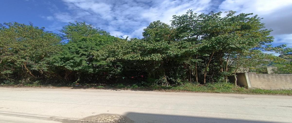 Foto de terreno habitacional en renta en  , cancún (internacional de cancún), benito juárez, quintana roo, 0 No. 03