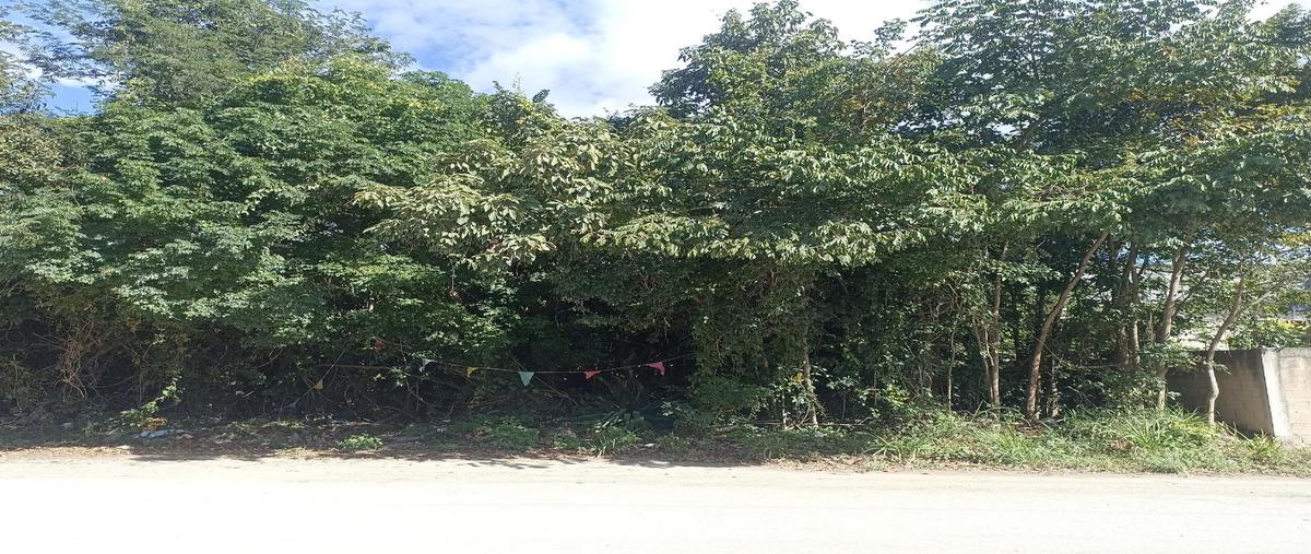 Foto de terreno habitacional en renta en  , cancún (internacional de cancún), benito juárez, quintana roo, 0 No. 05