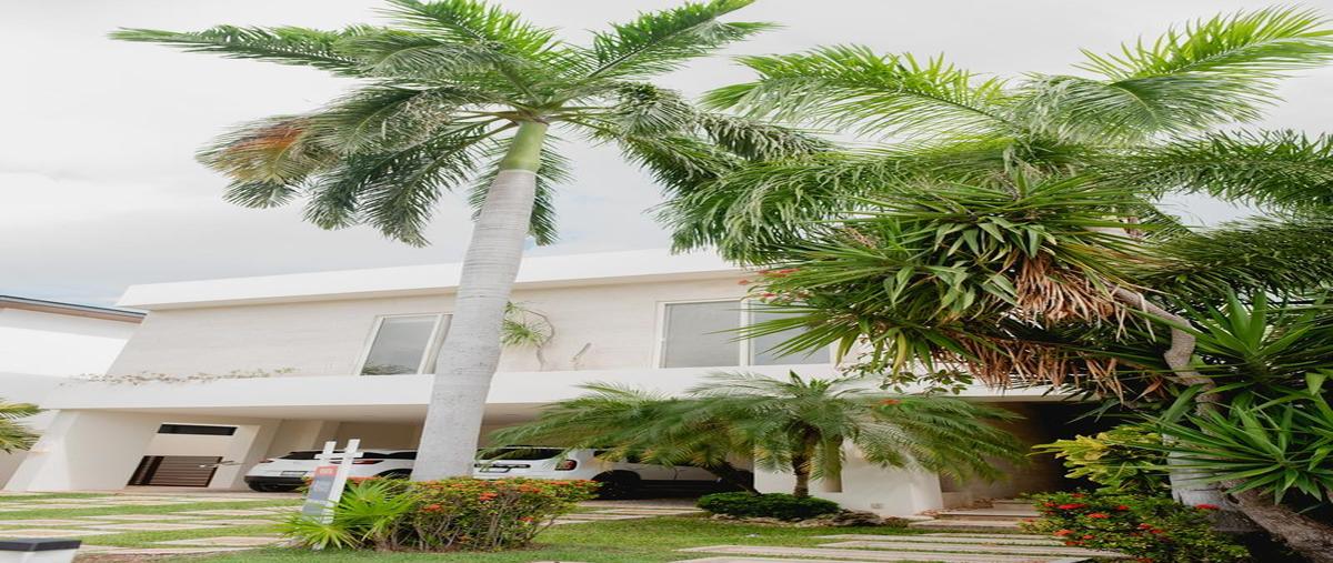 Foto de rancho en , cancún (internacional de cancún), benito juárez, quintana roo, 0 foto 02 Foto de rancho en venta en , cancún (internacional de cancún), benito juárez, quintana roo, 0 No. 02