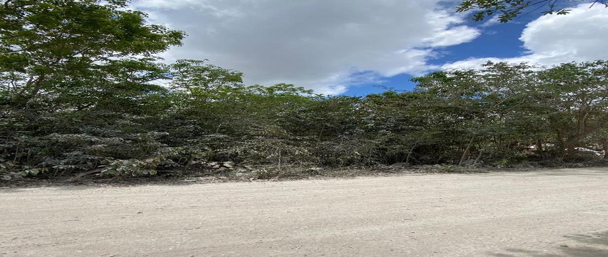 Foto de terreno habitacional en , cancún (internacional de cancún), benito juárez, quintana roo, 0 foto 02 Foto de terreno habitacional en venta en , cancún (internacional de cancún), benito juárez, quintana roo, 0 No. 02