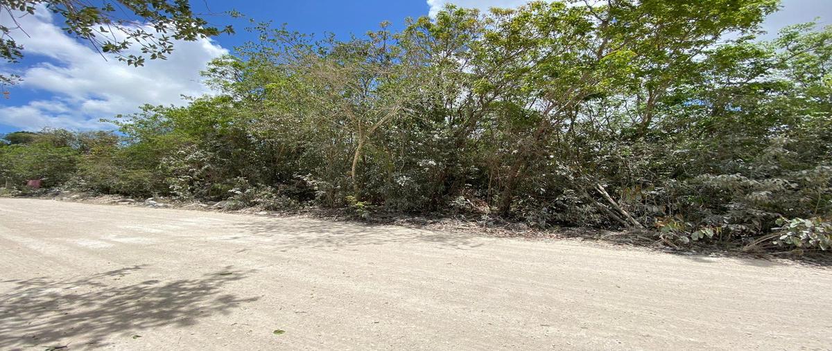 Foto de terreno habitacional en , cancún (internacional de cancún), benito juárez, quintana roo, 0 foto 03 Foto de terreno habitacional en venta en , cancún (internacional de cancún), benito juárez, quintana roo, 0 No. 03