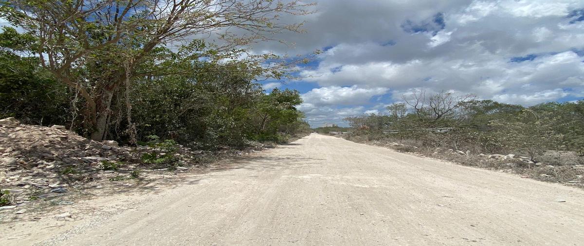 Foto de terreno habitacional en , cancún (internacional de cancún), benito juárez, quintana roo, 0 foto 05 Foto de terreno habitacional en venta en , cancún (internacional de cancún), benito juárez, quintana roo, 0 No. 05