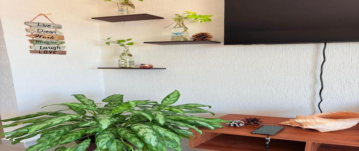 Foto de departamento en renta en  , cancún (internacional de cancún), benito juárez, quintana roo, 0 No. 04