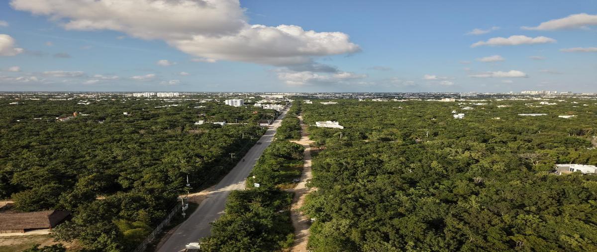 Foto de terreno habitacional en renta en  , cancún (internacional de cancún), benito juárez, quintana roo, 30705879 No. 05