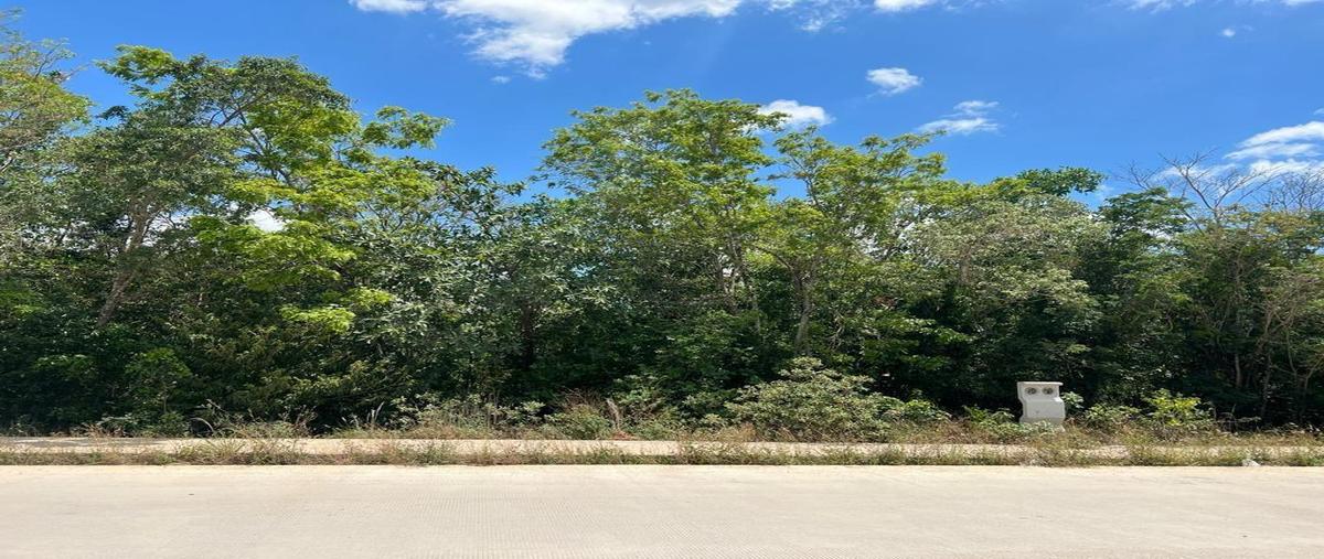 Foto de terreno habitacional en venta en  , cancún (internacional de cancún), benito juárez, quintana roo, 30706259 No. 05