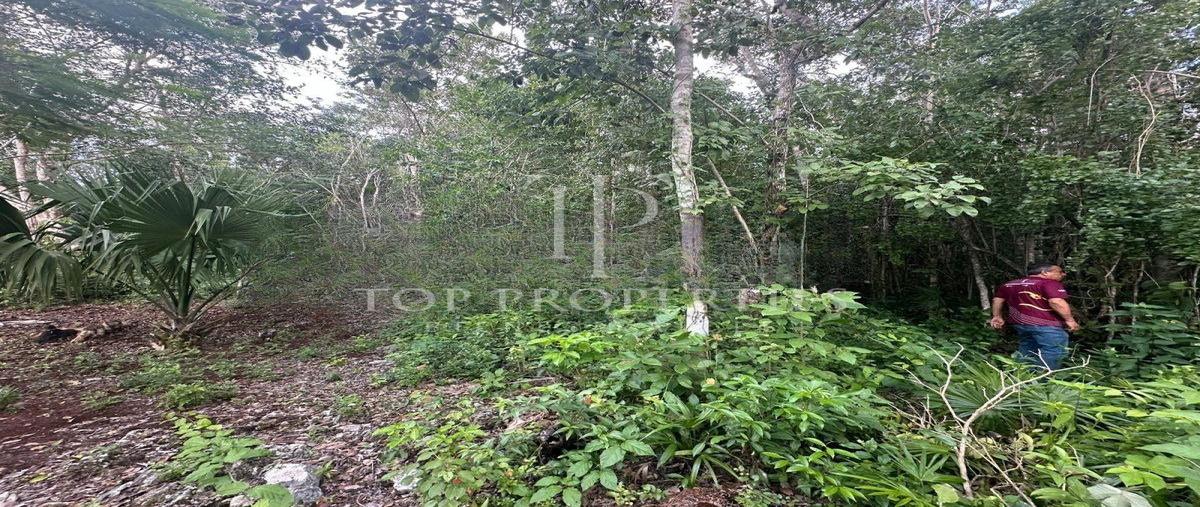 Foto de terreno habitacional en venta en  , cancún (internacional de cancún), benito juárez, quintana roo, 0 No. 04