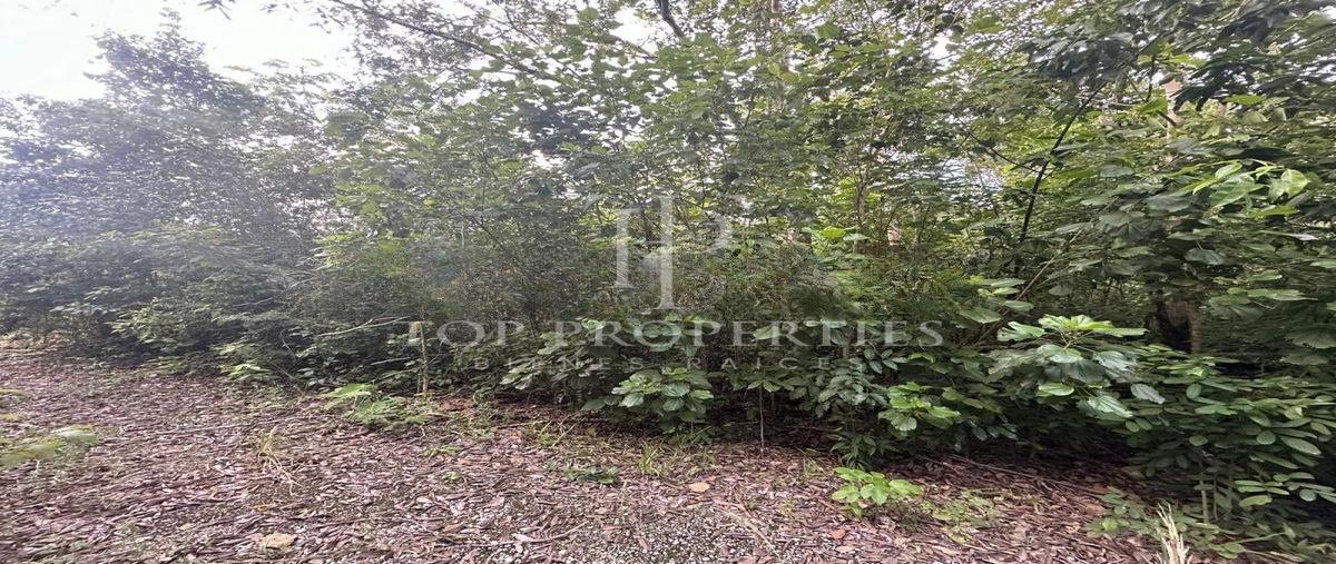 Foto de terreno habitacional en venta en  , cancún (internacional de cancún), benito juárez, quintana roo, 0 No. 05