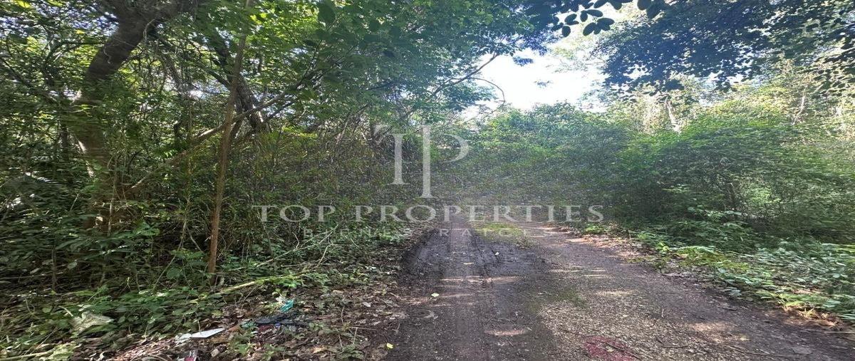 Foto de terreno comercial en venta en  , cancún (internacional de cancún), benito juárez, quintana roo, 0 No. 03