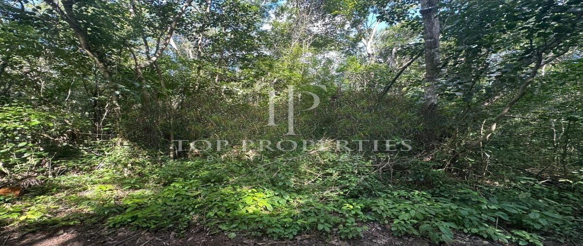 Foto de terreno comercial en venta en  , cancún (internacional de cancún), benito juárez, quintana roo, 0 No. 04