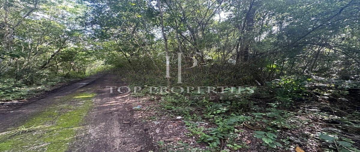 Foto de terreno comercial en venta en  , cancún (internacional de cancún), benito juárez, quintana roo, 0 No. 05