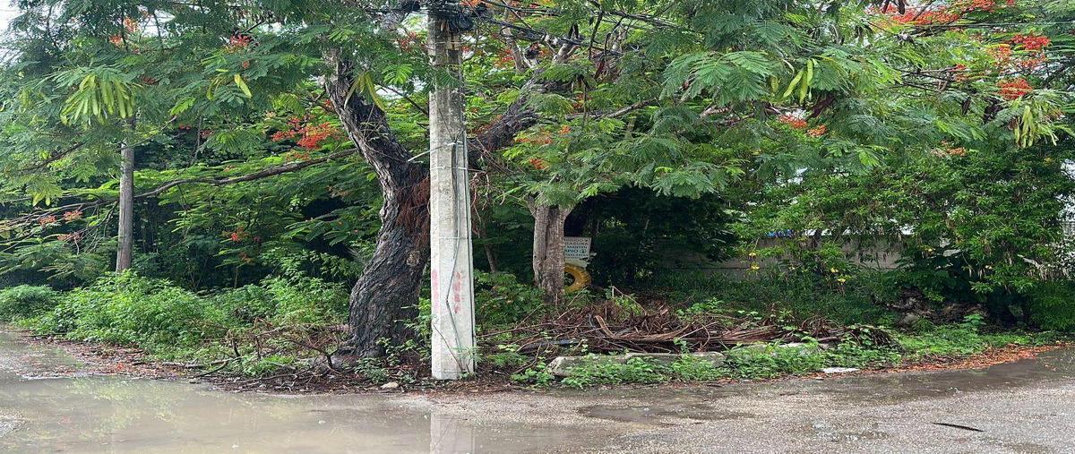 Foto de terreno habitacional en , cancún (internacional de cancún), benito juárez, quintana roo, 0 foto 03 Foto de terreno habitacional en venta en , cancún (internacional de cancún), benito juárez, quintana roo, 0 No. 03