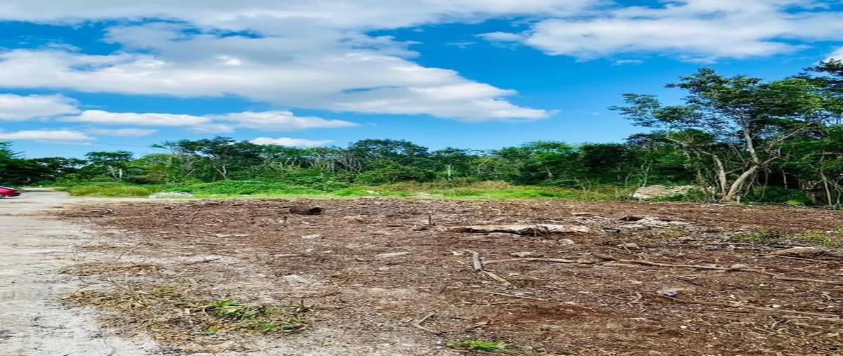 Foto de terreno habitacional en venta en  , cancún (internacional de cancún), benito juárez, quintana roo, 0 No. 05