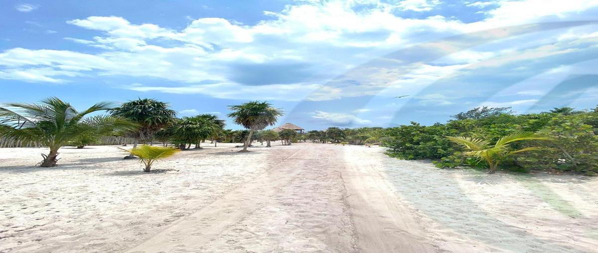 Foto de terreno habitacional en venta en  , cancún (internacional de cancún), benito juárez, quintana roo, 0 No. 05