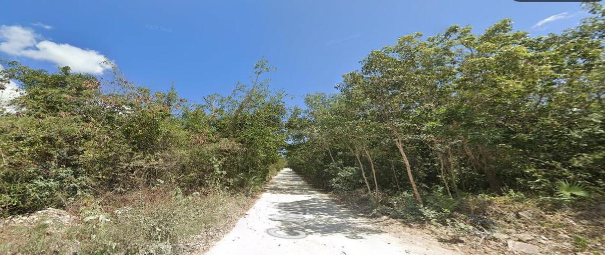 Foto de terreno habitacional en , cancún (internacional de cancún), benito juárez, quintana roo, 0 foto 03 Foto de terreno habitacional en venta en , cancún (internacional de cancún), benito juárez, quintana roo, 0 No. 03