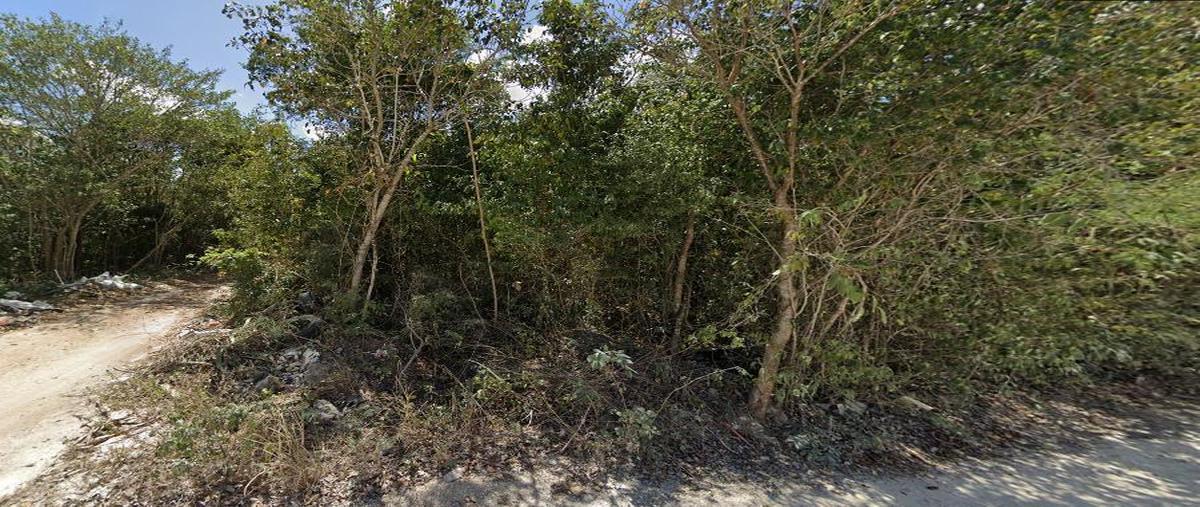 Foto de terreno habitacional en , cancún (internacional de cancún), benito juárez, quintana roo, 0 foto 05 Foto de terreno habitacional en venta en , cancún (internacional de cancún), benito juárez, quintana roo, 0 No. 05
