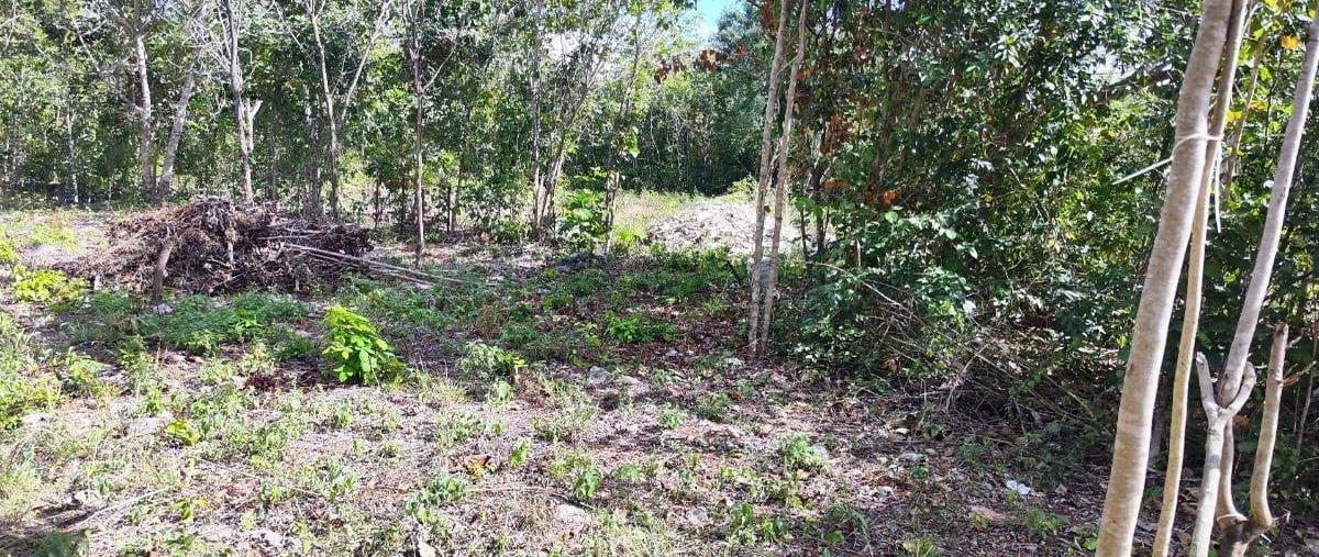 Foto de terreno habitacional en venta en  , cancún (internacional de cancún), benito juárez, quintana roo, 0 No. 03