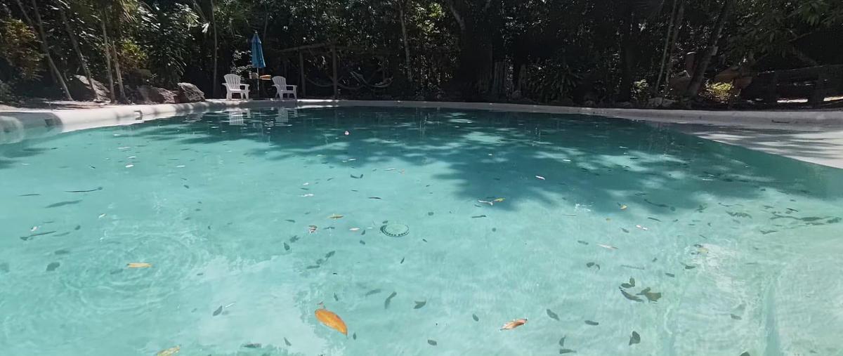 Foto de edificio en venta en  , cancún (internacional de cancún), benito juárez, quintana roo, 0 No. 05