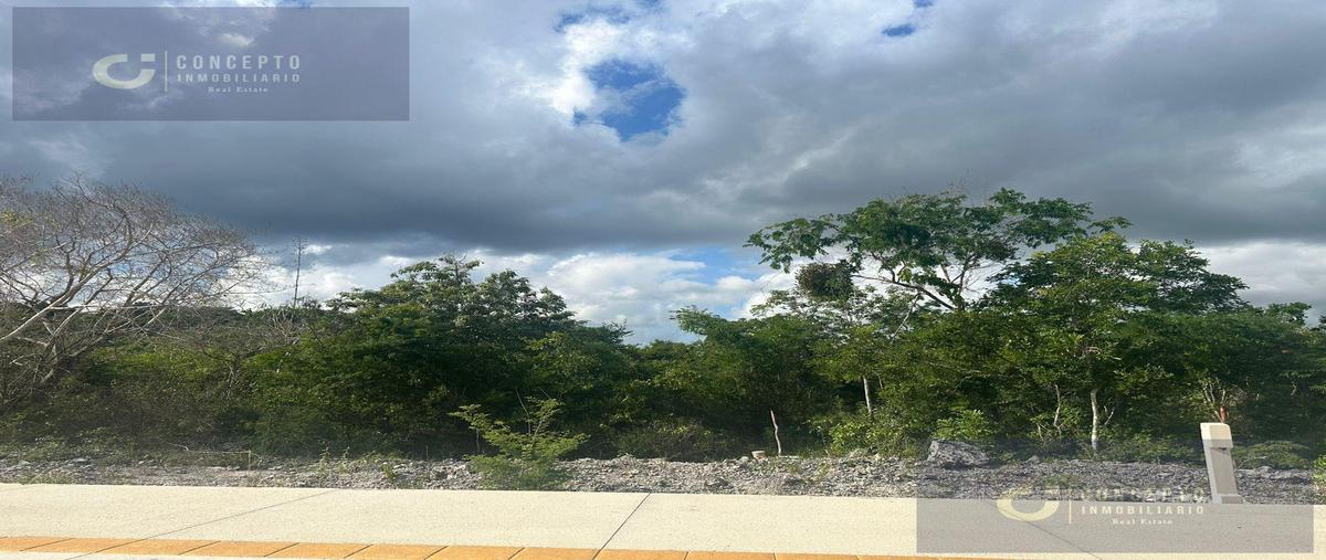 Foto de terreno habitacional en , cancún (internacional de cancún), benito juárez, quintana roo, 30950293 foto 03 Foto de terreno habitacional en venta en , cancún (internacional de cancún), benito juárez, quintana roo, 30950293 No. 03