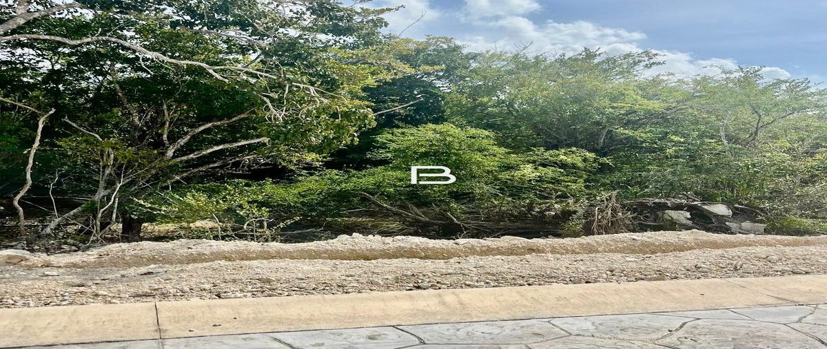 Foto de terreno habitacional en venta en  , cancún (internacional de cancún), benito juárez, quintana roo, 30954871 No. 05