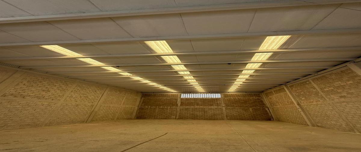 Foto de bodega en renta en  , cancún (internacional de cancún), benito juárez, quintana roo, 0 No. 04