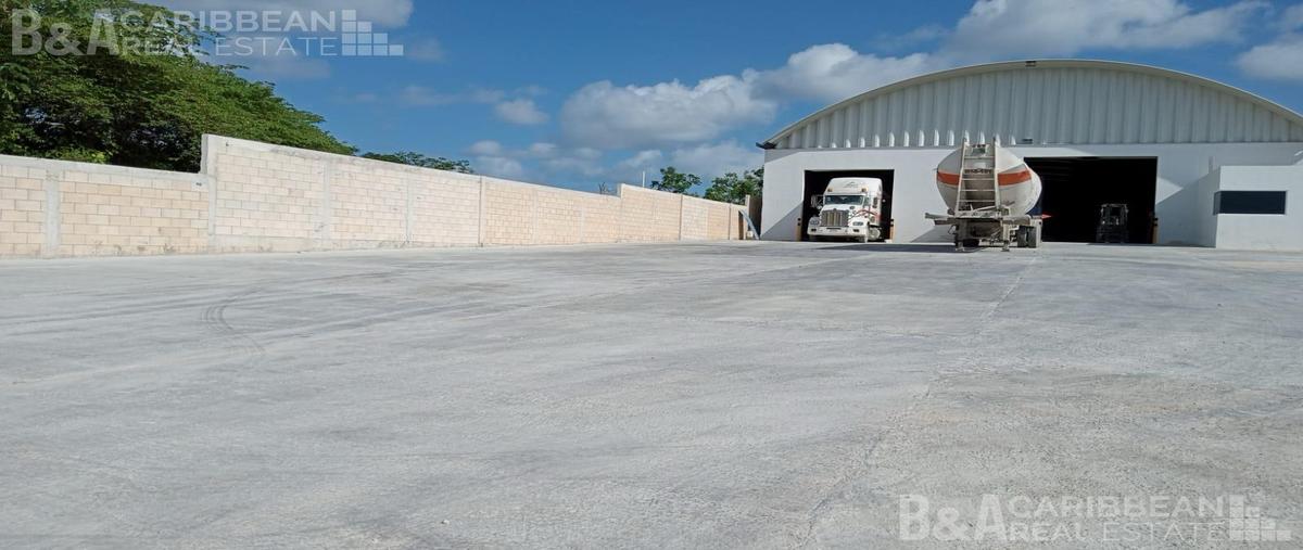 Foto de bodega en , cancún (internacional de cancún), benito juárez, quintana roo, 0 foto 03 Foto de bodega en renta en , cancún (internacional de cancún), benito juárez, quintana roo, 0 No. 03