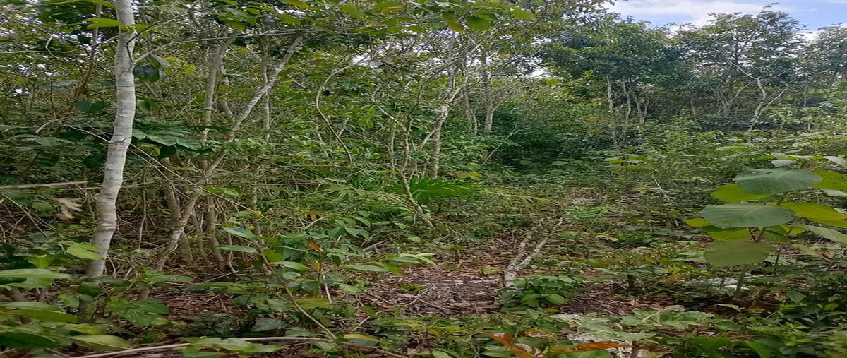 Foto de terreno habitacional en venta en  , cancún (internacional de cancún), benito juárez, quintana roo, 0 No. 05