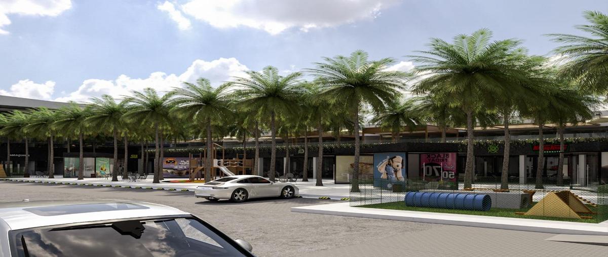 Foto de local en venta en  , cancún (internacional de cancún), benito juárez, quintana roo, 0 No. 05