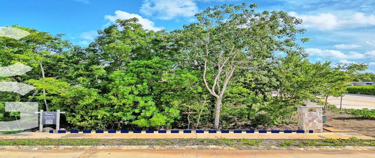 Foto de terreno habitacional en venta en  , cancún (internacional de cancún), benito juárez, quintana roo, 31076301 No. 03