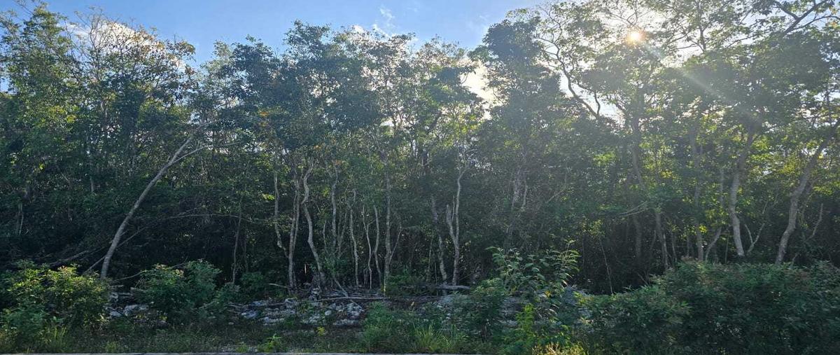 Foto de terreno habitacional en , cancún (internacional de cancún), benito juárez, quintana roo, 0 foto 02 Foto de terreno habitacional en venta en , cancún (internacional de cancún), benito juárez, quintana roo, 0 No. 02