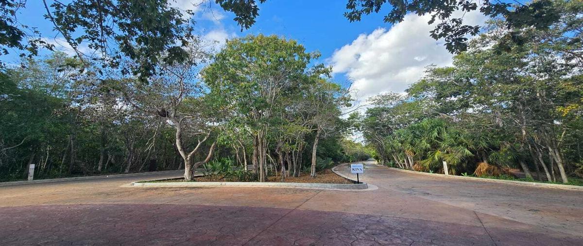 Foto de terreno habitacional en , cancún (internacional de cancún), benito juárez, quintana roo, 0 foto 03 Foto de terreno habitacional en venta en , cancún (internacional de cancún), benito juárez, quintana roo, 0 No. 03