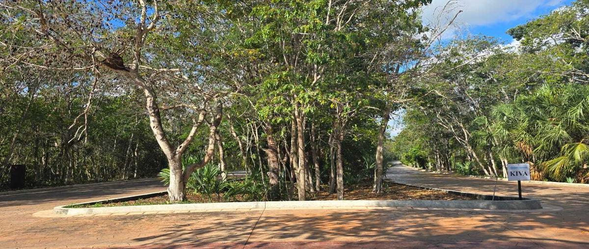 Foto de terreno habitacional en , cancún (internacional de cancún), benito juárez, quintana roo, 0 foto 05 Foto de terreno habitacional en venta en , cancún (internacional de cancún), benito juárez, quintana roo, 0 No. 05