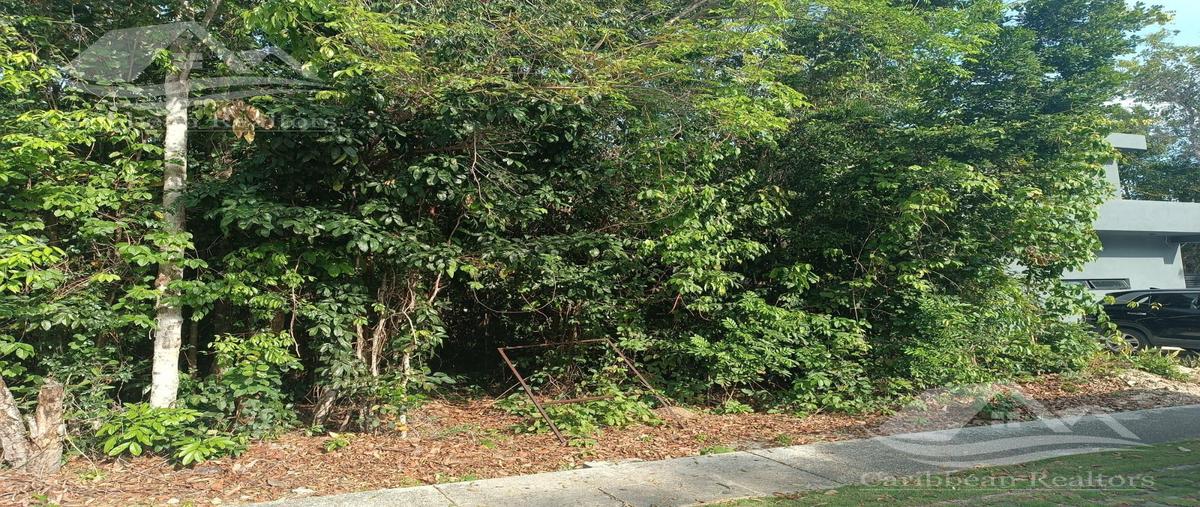 Foto de terreno habitacional en venta en  , cancún (internacional de cancún), benito juárez, quintana roo, 0 No. 03