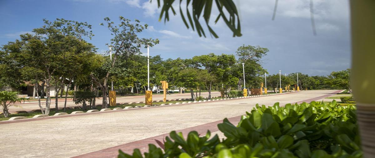 Foto de terreno habitacional en venta en  , cancún (internacional de cancún), benito juárez, quintana roo, 0 No. 05