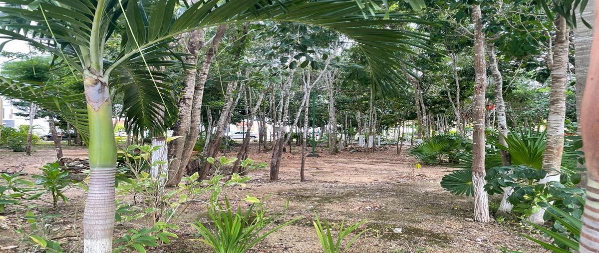 Foto de casa en renta en  , cancún (internacional de cancún), benito juárez, quintana roo, 0 No. 03