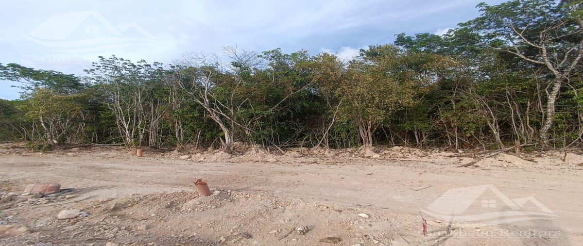 Foto de terreno habitacional en venta en  , cancún (internacional de cancún), benito juárez, quintana roo, 0 No. 03