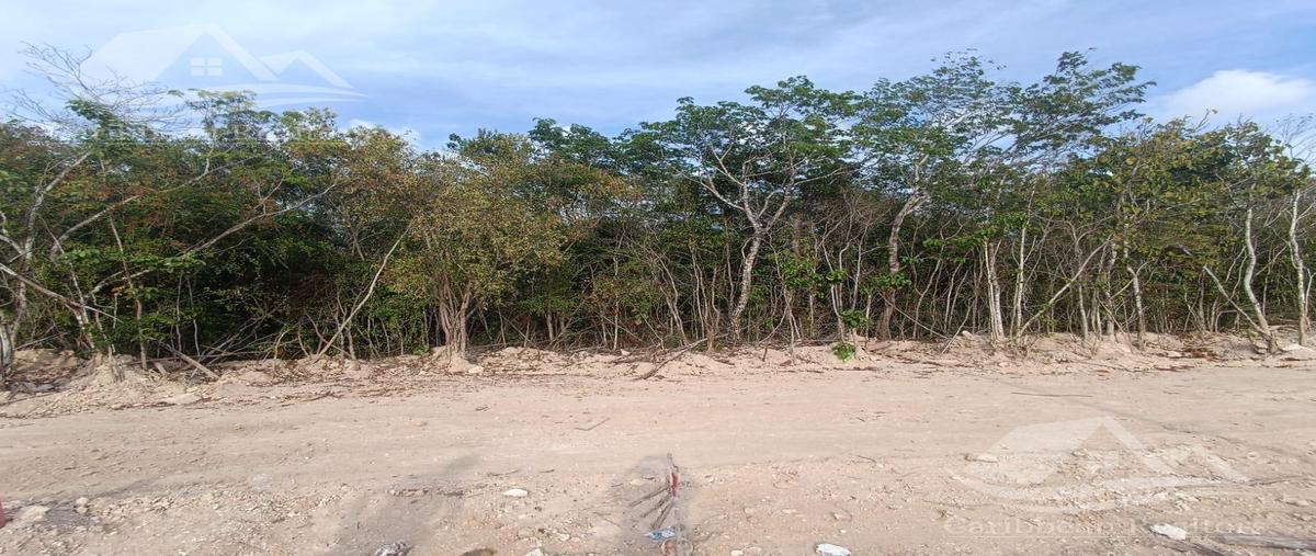 Foto de terreno habitacional en venta en  , cancún (internacional de cancún), benito juárez, quintana roo, 0 No. 05