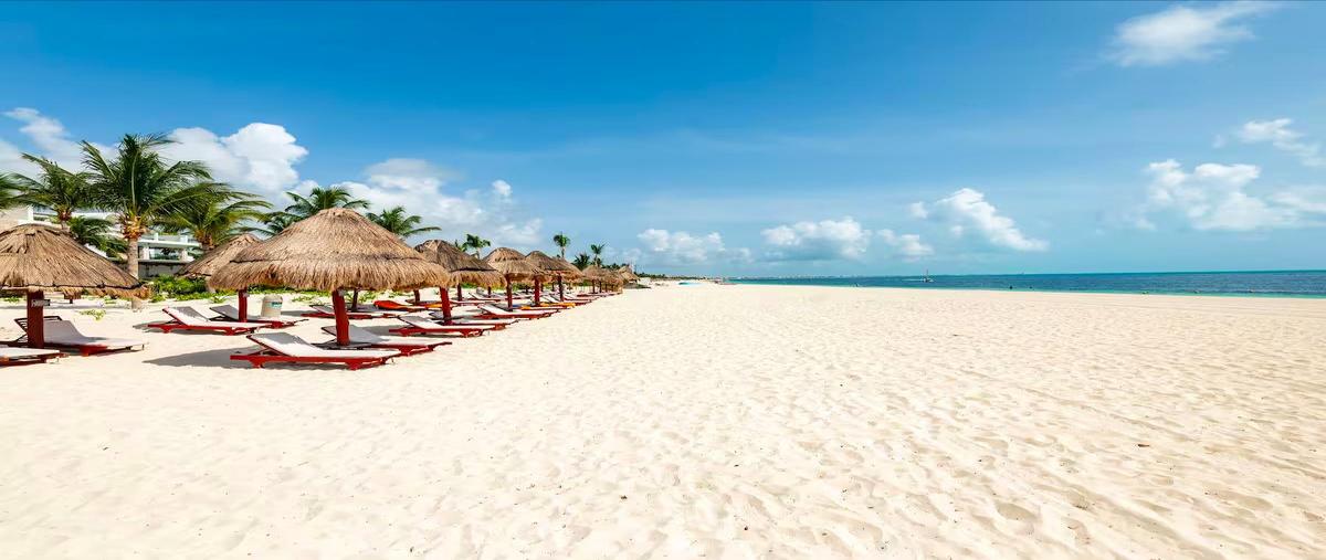 Foto de departamento en venta en  , cancún (internacional de cancún), benito juárez, quintana roo, 31248208 No. 05