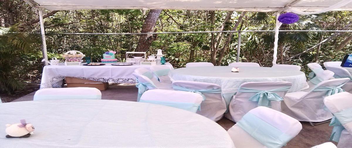 Foto de local en venta en  , cancún (internacional de cancún), benito juárez, quintana roo, 31337993 No. 04