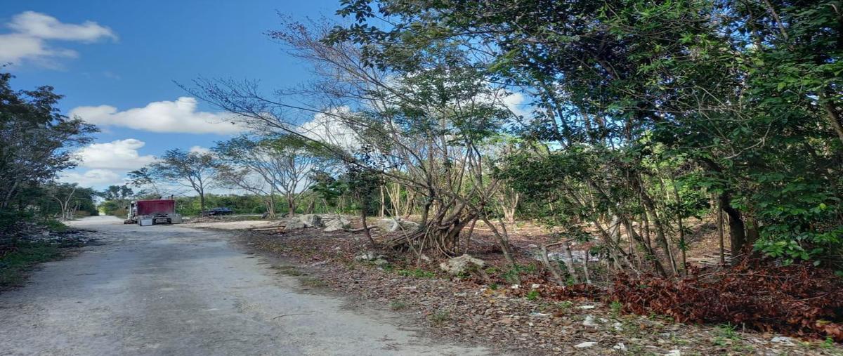 Foto de terreno habitacional en venta en  , cancún (internacional de cancún), benito juárez, quintana roo, 31338210 No. 03