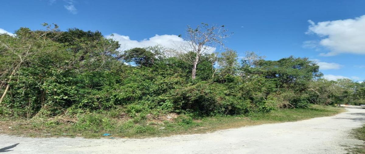 Foto de terreno habitacional en venta en  , cancún (internacional de cancún), benito juárez, quintana roo, 31338210 No. 04