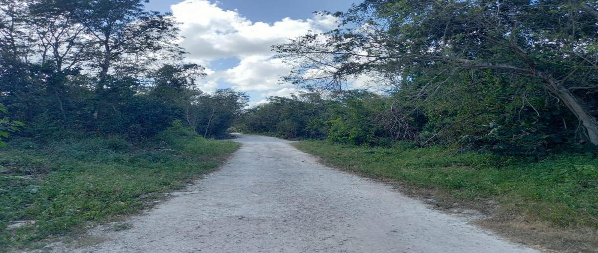 Foto de terreno habitacional en venta en  , cancún (internacional de cancún), benito juárez, quintana roo, 31338210 No. 05