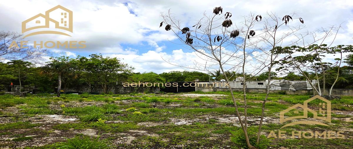 Foto de terreno habitacional en renta en  , cancún (internacional de cancún), benito juárez, quintana roo, 0 No. 03