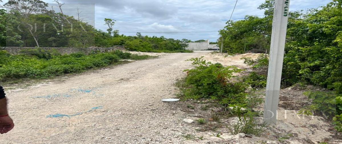 Foto de terreno habitacional en , cancún (internacional de cancún), benito juárez, quintana roo, 31472235 foto 03 Foto de terreno habitacional en venta en , cancún (internacional de cancún), benito juárez, quintana roo, 31472235 No. 03