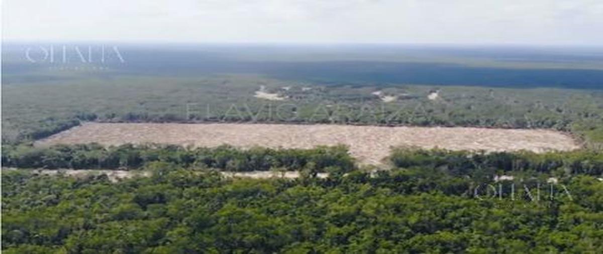 Foto de terreno habitacional en , cancún (internacional de cancún), benito juárez, quintana roo, 31472237 foto 04 Foto de terreno habitacional en venta en , cancún (internacional de cancún), benito juárez, quintana roo, 31472237 No. 04