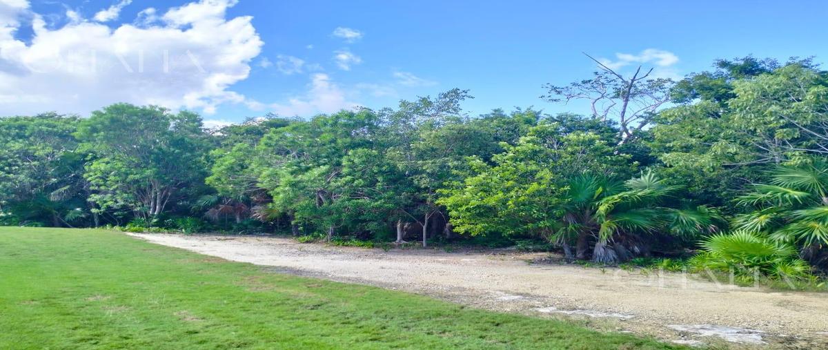 Foto de terreno habitacional en venta en  , cancún (internacional de cancún), benito juárez, quintana roo, 31472240 No. 05