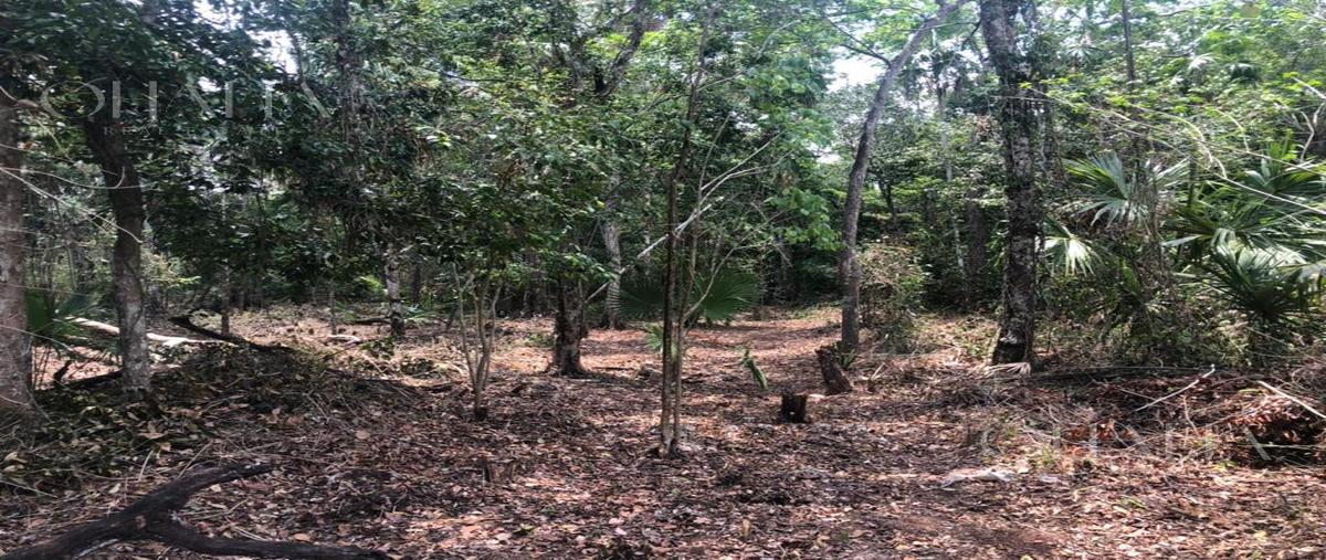 Foto de terreno habitacional en venta en  , cancún (internacional de cancún), benito juárez, quintana roo, 31472253 No. 03