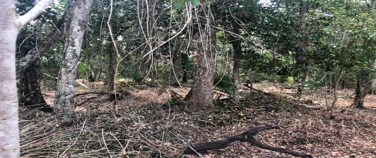 Foto de terreno habitacional en venta en  , cancún (internacional de cancún), benito juárez, quintana roo, 31472253 No. 04